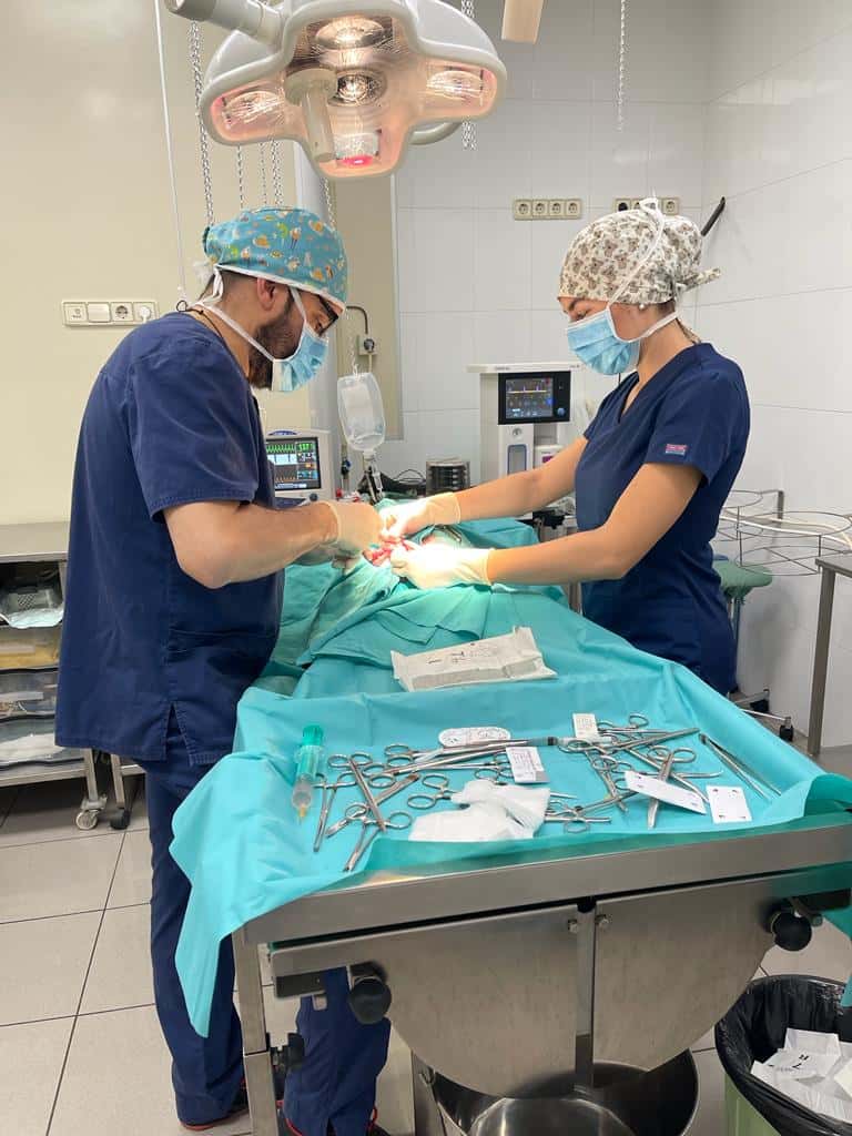 Albet Clínica Veterinaria