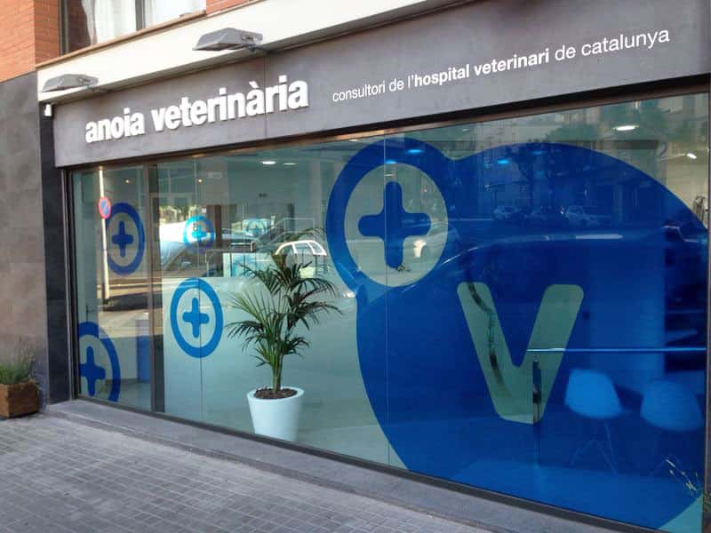 hvc igualada veterinario centro en igualada en barcelona principalImage ADOPTA Sitios Pet Friendly