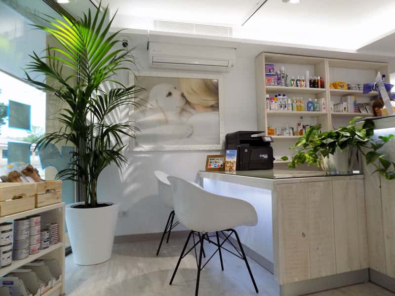 hvc piera veterinario centro en piera en barcelona principalImage ADOPTA Sitios Pet Friendly