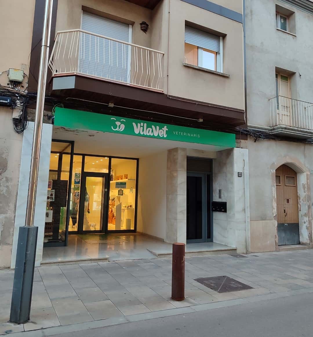 VilaVet Veterinaris