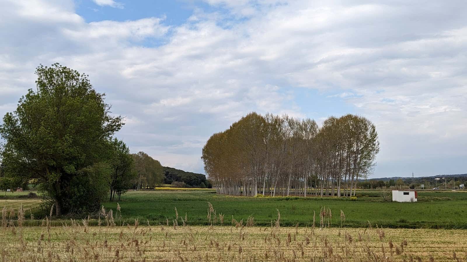 Clínica Veterinària Tordera