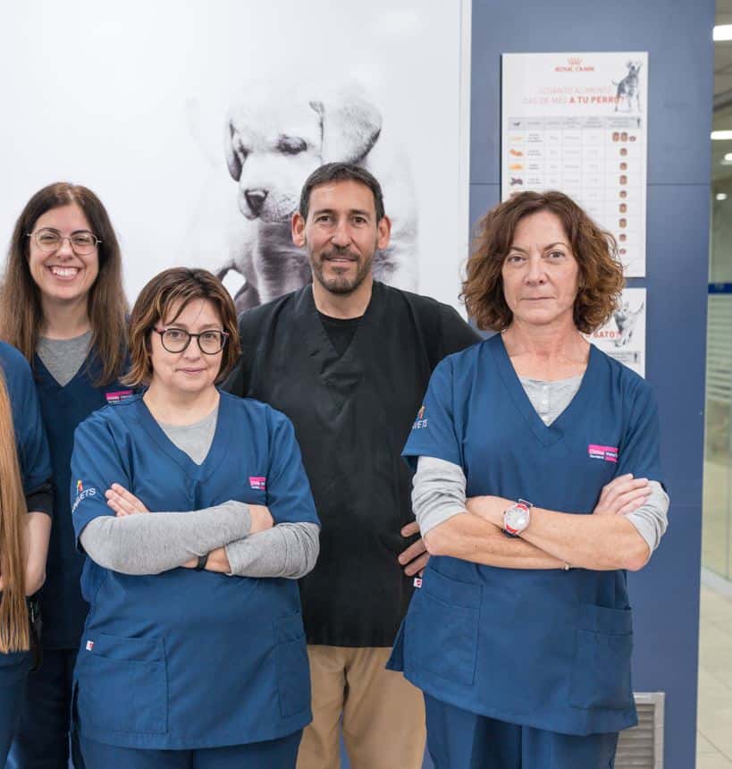 clinica veterinaria tordera veterinario clinica en tordera en barcelona principalImage ADOPTA Sitios Pet Friendly