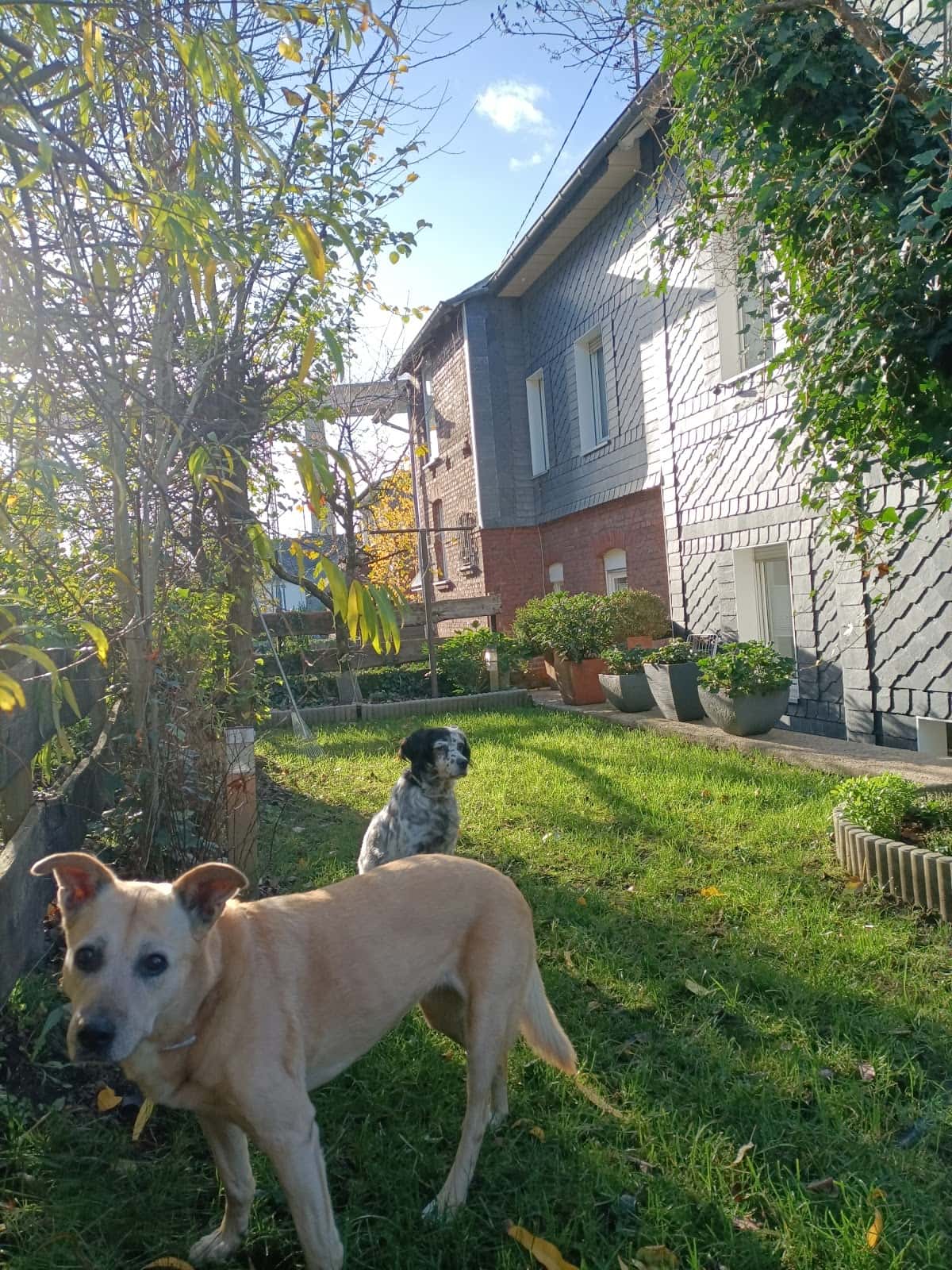 Hospital veterinario Cinos