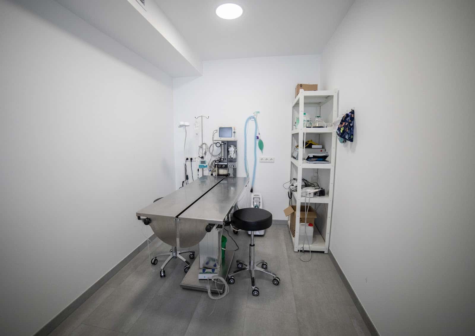 Masvet clínica Veterinària