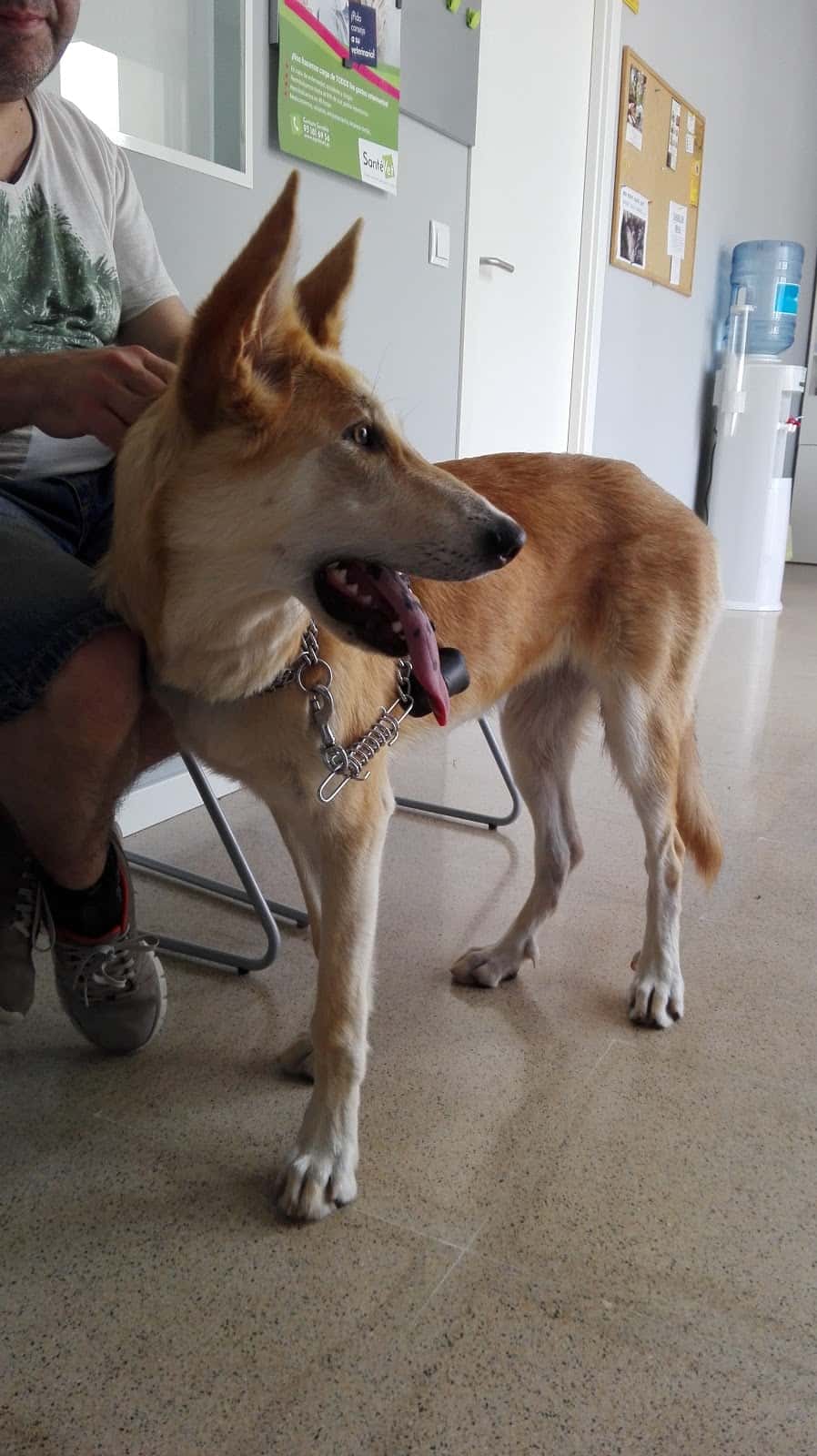 Clínica Veterinària Montserrat