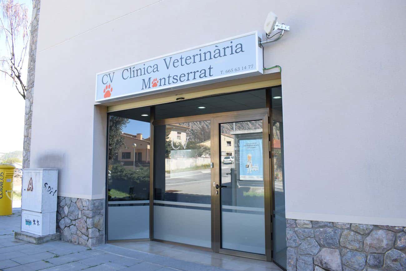 clinica veterinaria montserrat veterinario clinica en collbato en barcelona principalImage ADOPTA Sitios Pet Friendly