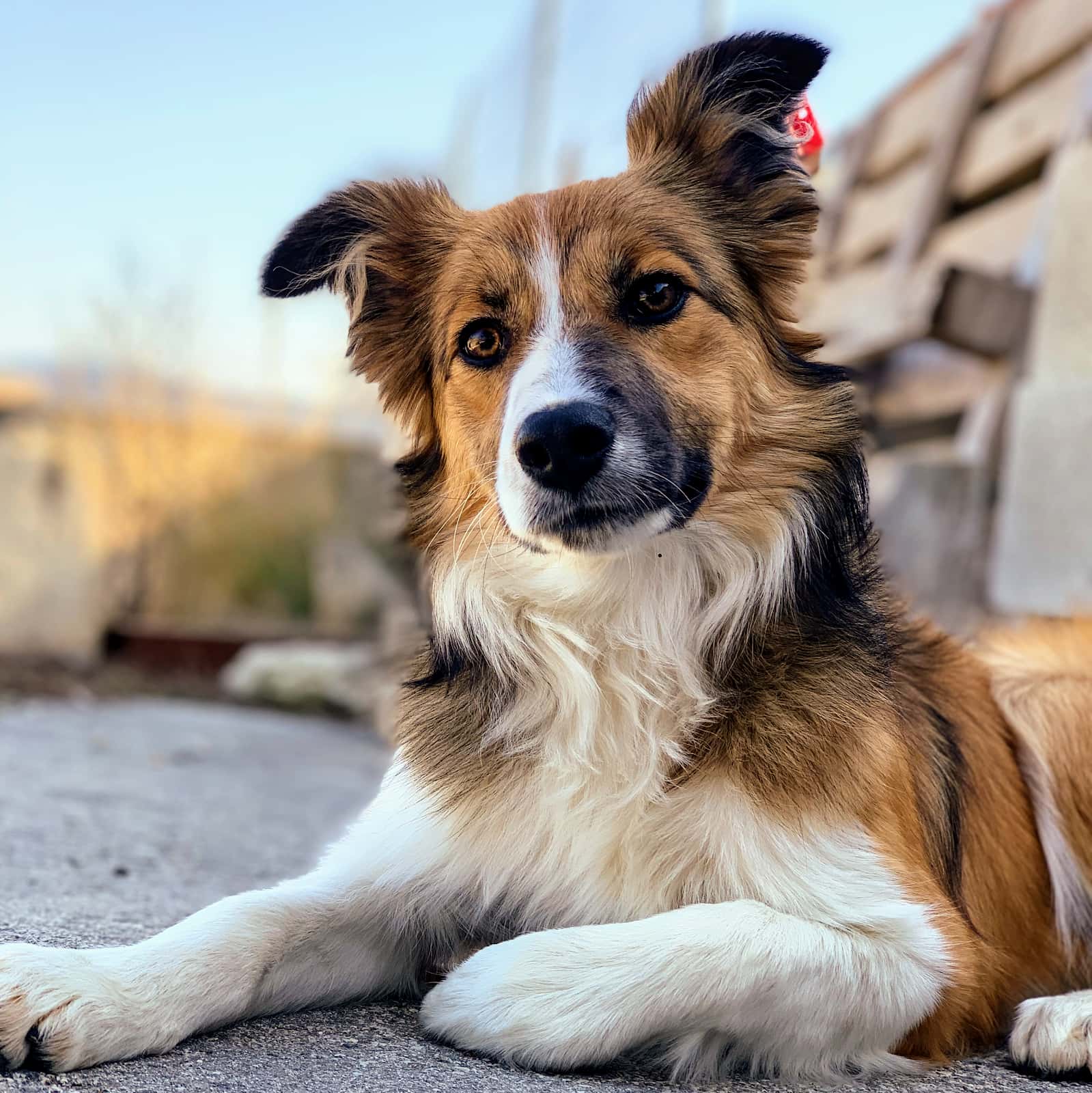 Aquivets | Clínica Veterinaria Igualada
