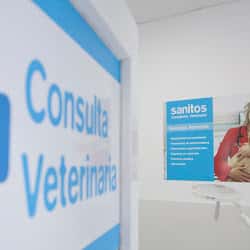 Kivet Salud Animal