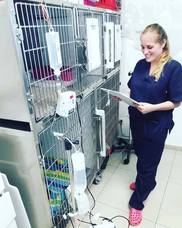 Amvet Clínica Veterinària Alt Maresme