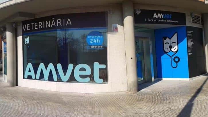 amvet clinica veterinaria alt maresme veterinario clinica en malgrat de mar en barcelona principalImage ADOPTA Sitios Pet Friendly