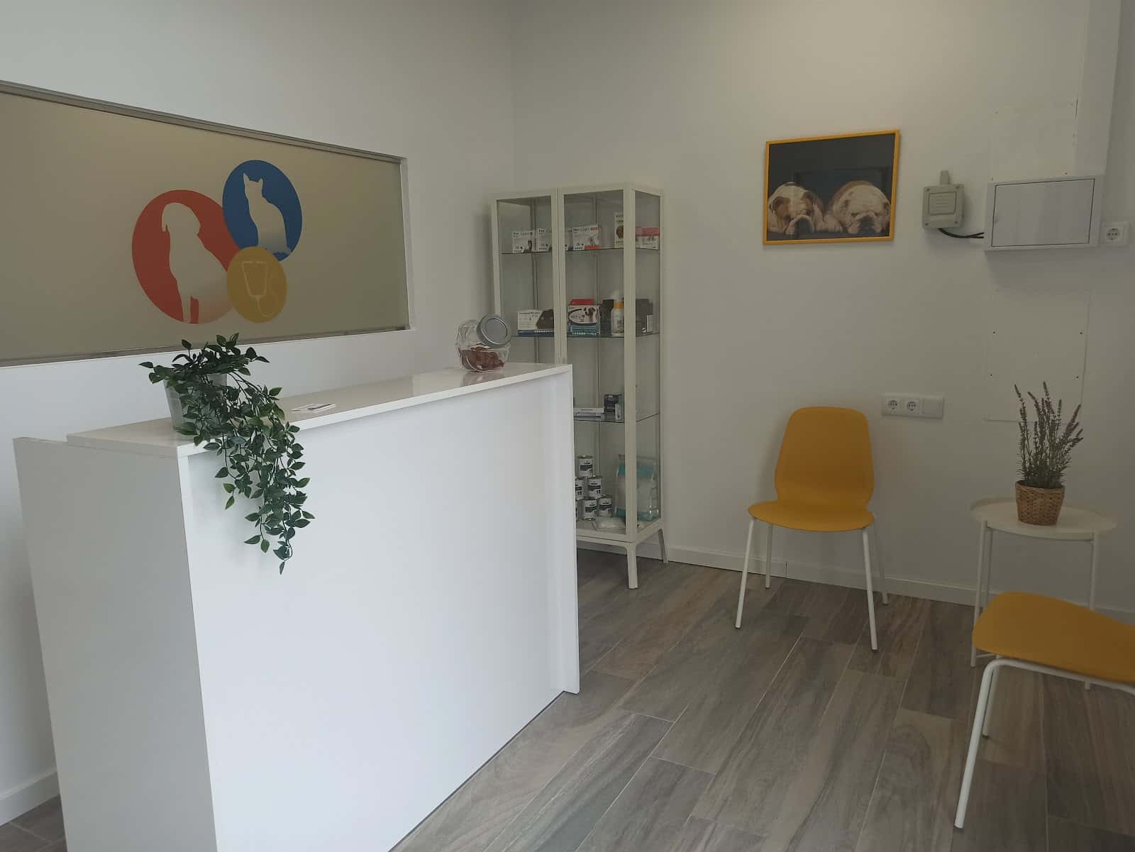 Susana veterinària Hostalric