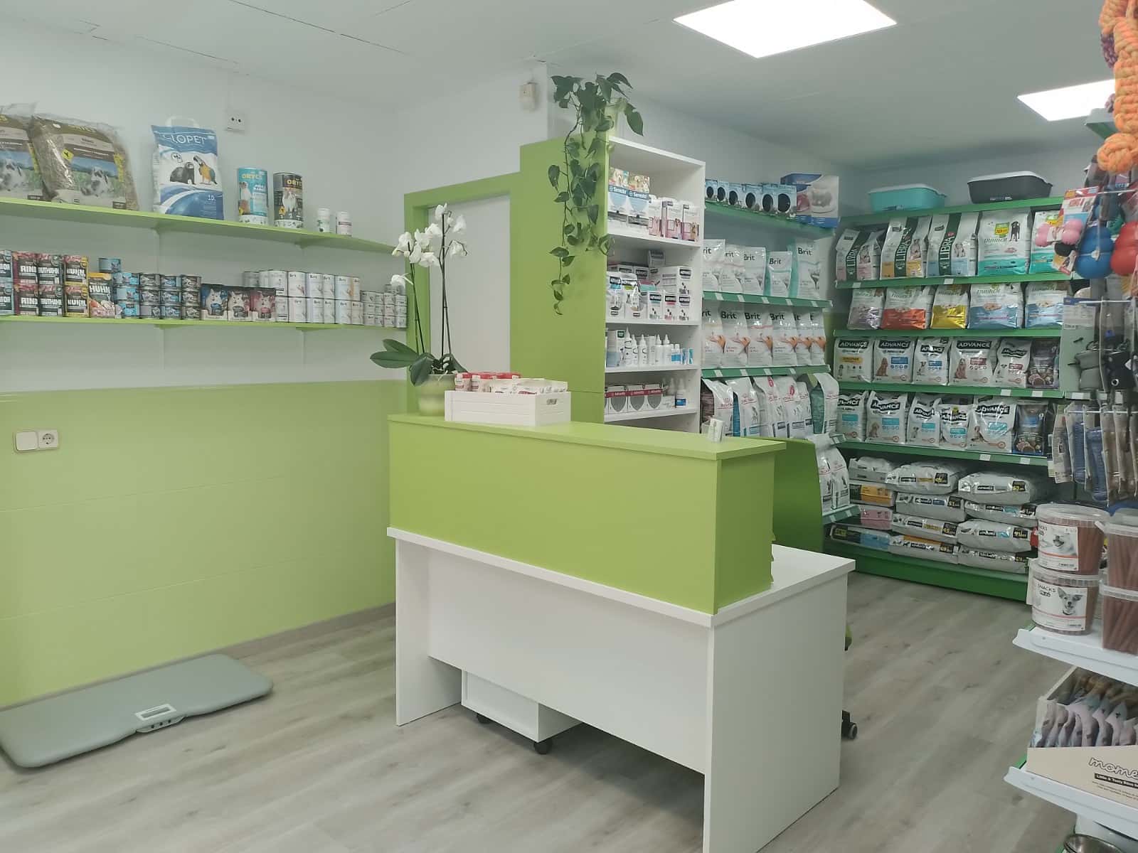 consulta veterinaria cervera veterinario centro en cervera en lleida principalImage ADOPTA Sitios Pet Friendly
