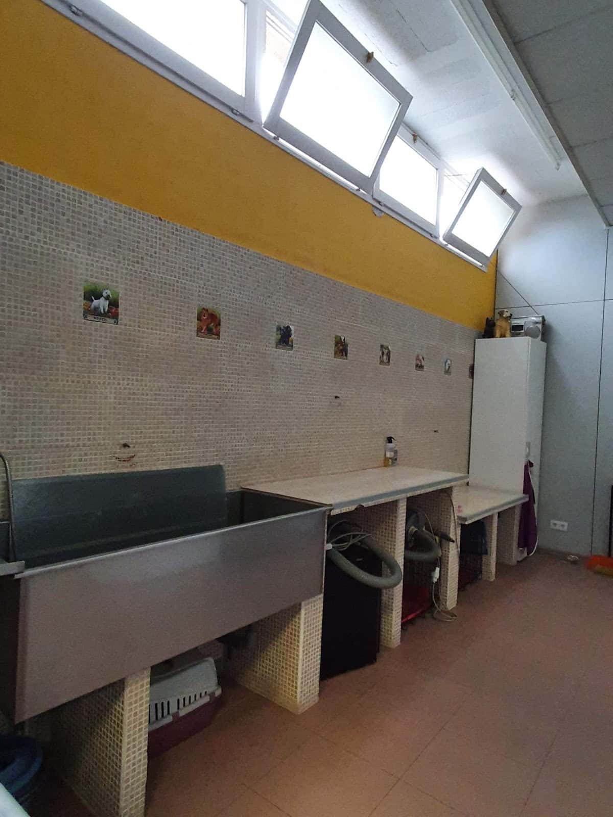vetarea arbucies veterinario centro en arbucies en girona principalImage ADOPTA Sitios Pet Friendly