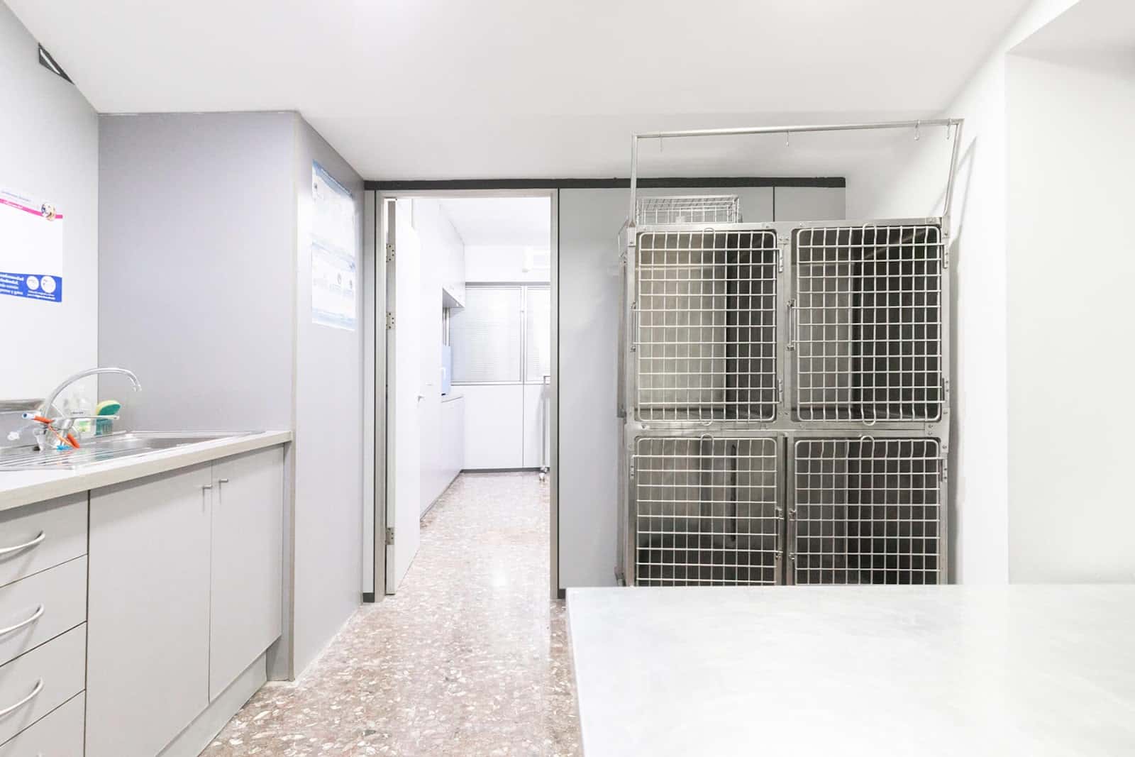 Clínica Veterinària Els Llops
