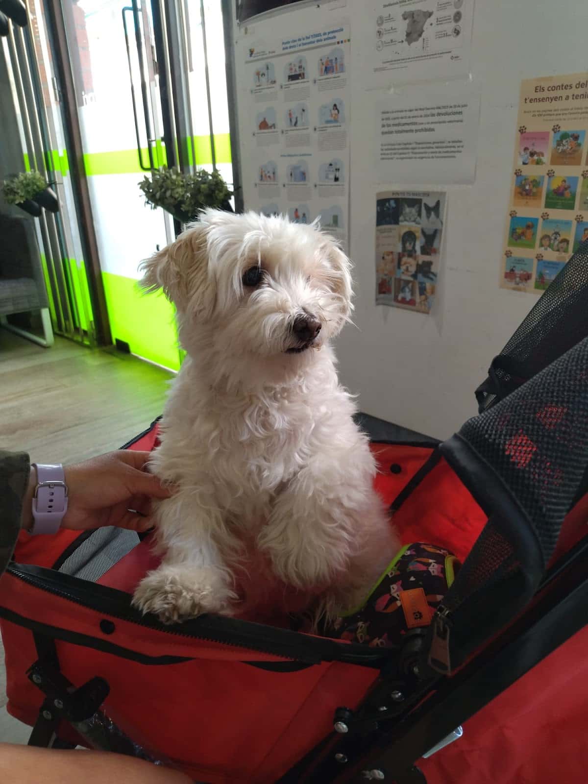 Naturvet Centre Veterinari