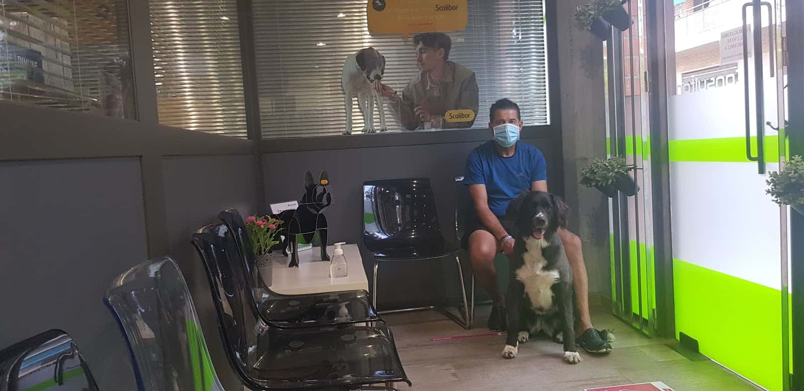 naturvet centre veterinari veterinario centro en sant boi de llobregat en barcelona principalImage ADOPTA Sitios Pet Friendly