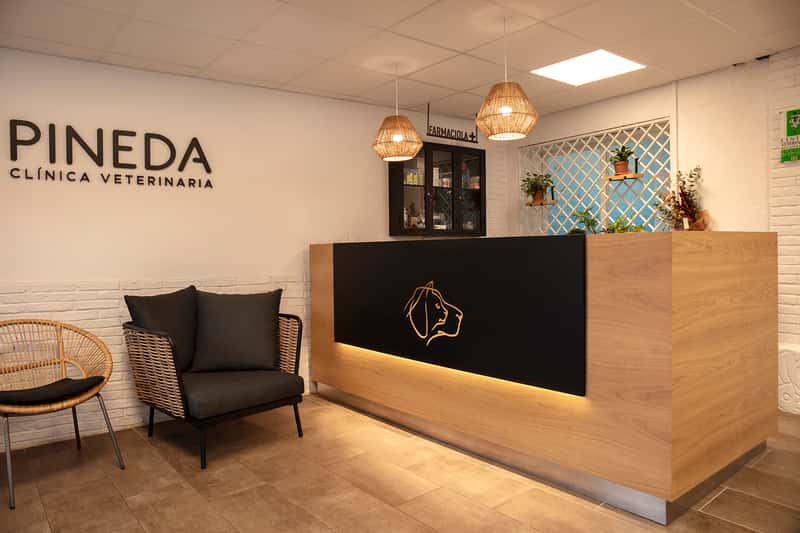 Clínica Veterinaria Pineda