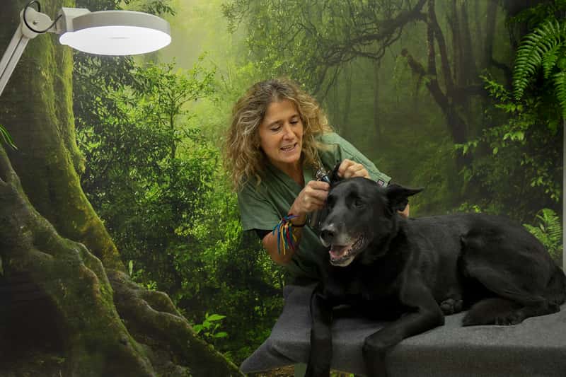 Clínica Veterinaria Pineda