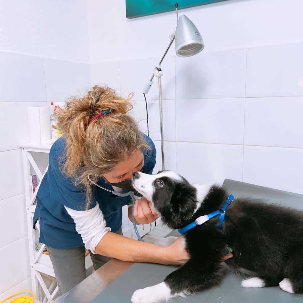 Clínica Veterinaria Pineda