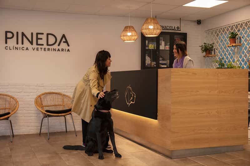 clinica veterinaria pineda veterinario clinica en castelldefels en barcelona principalImage ADOPTA Sitios Pet Friendly