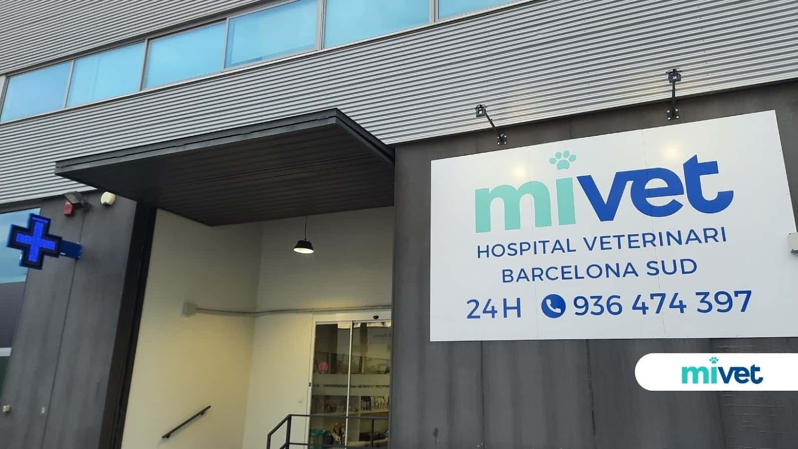 hospital veterinari barcelona sud mivet veterinario hospital en viladecans en barcelona principalImage ADOPTA Sitios Pet Friendly