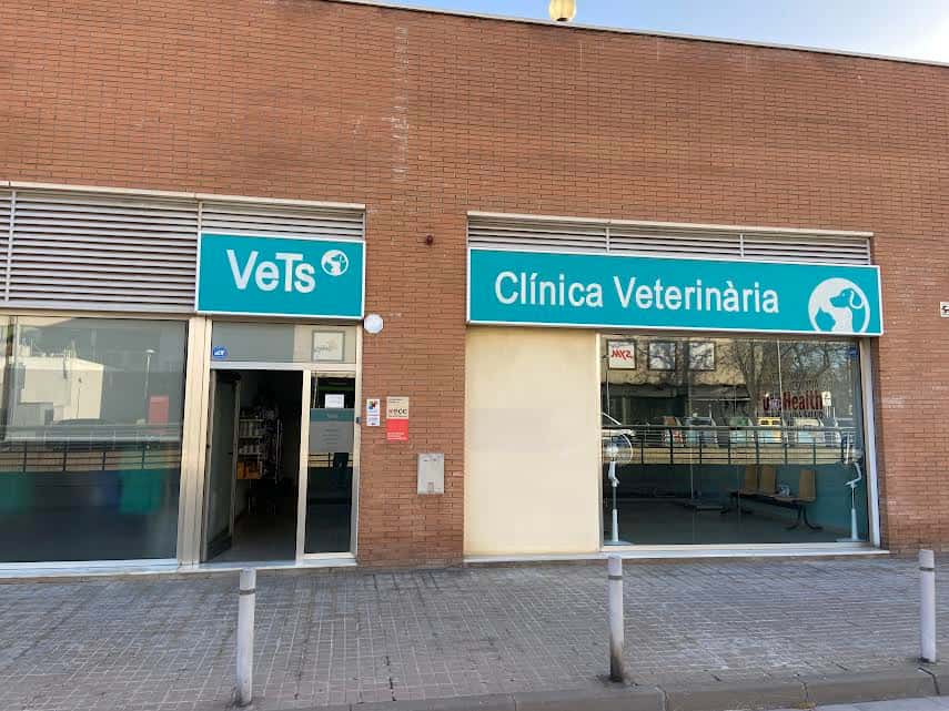 vets clinica veterinaria veterinario clinica en castelldefels en barcelona principalImage ADOPTA Sitios Pet Friendly