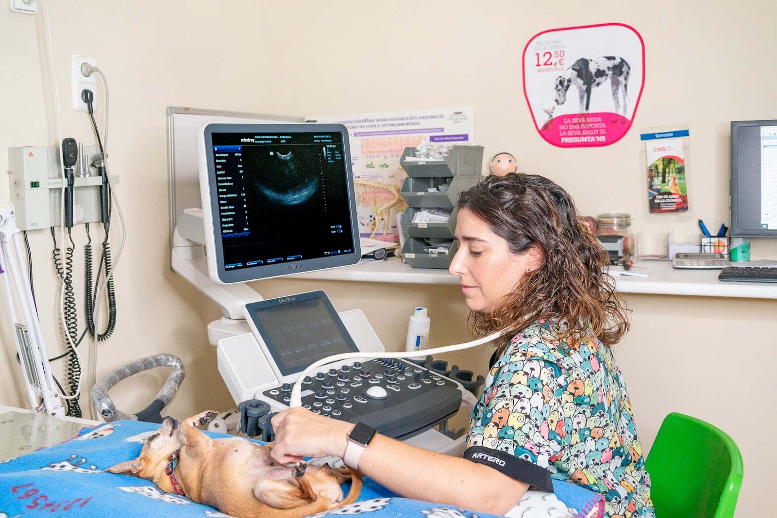 CLÍNICA VETERINÀRIA GAVÀ