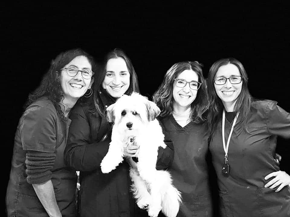 clinica veterinaria gava veterinario clinica barrio barcelona en barcelona en barcelona principalImage ADOPTA Sitios Pet Friendly