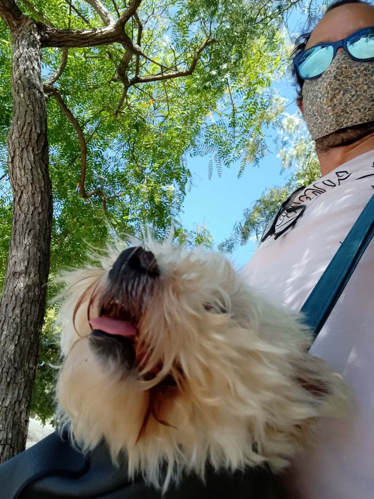 Clínica Veterinària Les Bóbiles