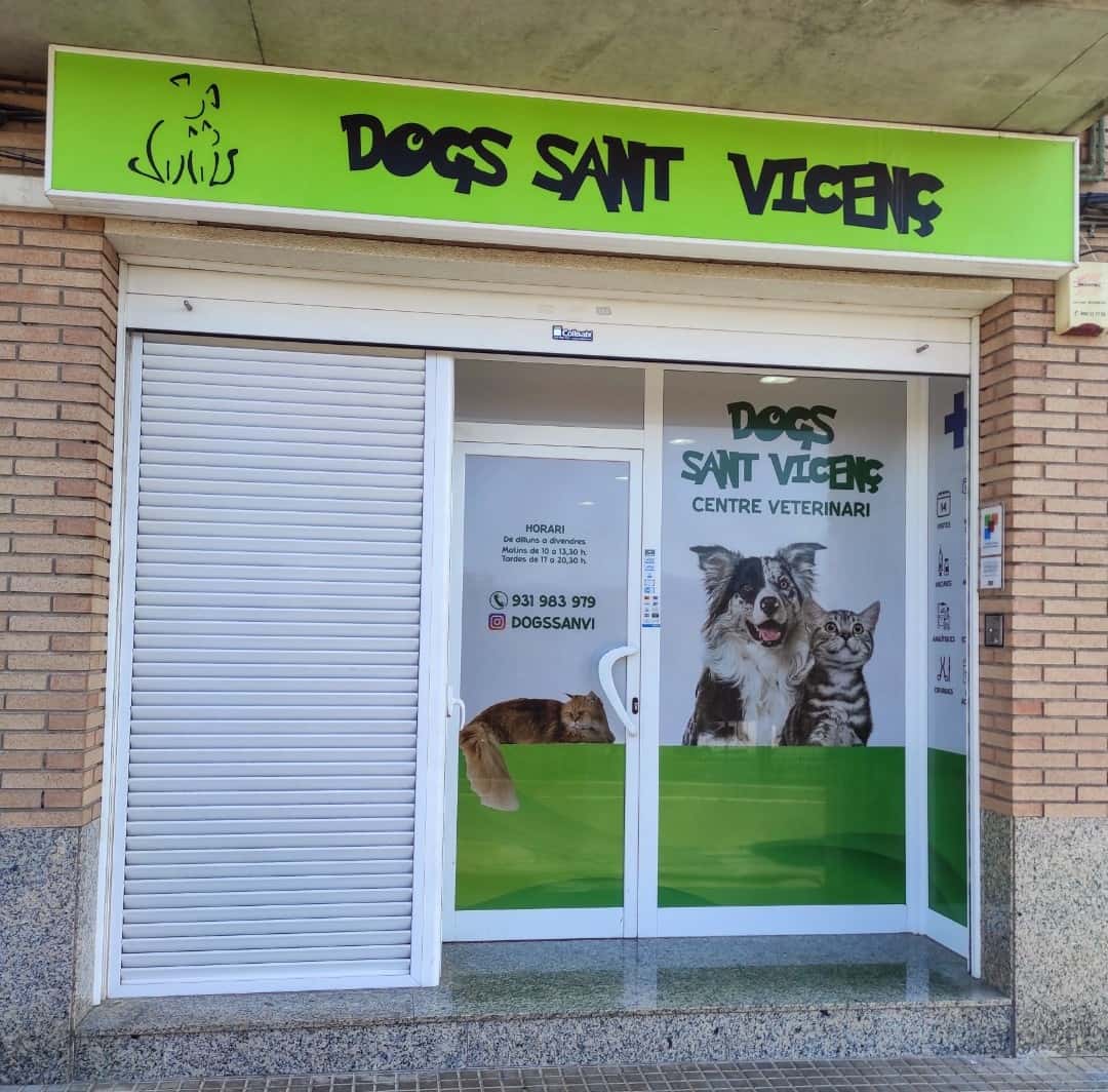 DOGS SANT VICENÇ