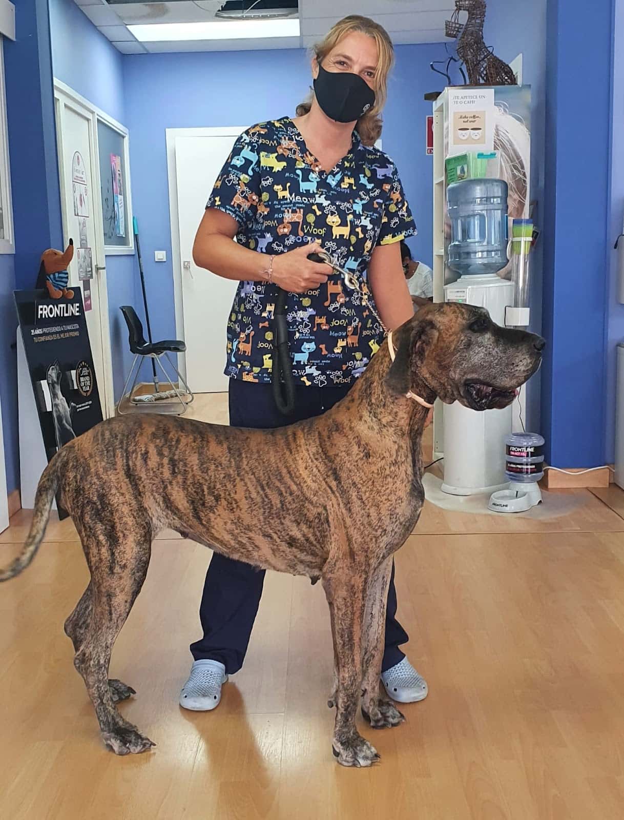 Clinica Veterinaria Prat de Cunit