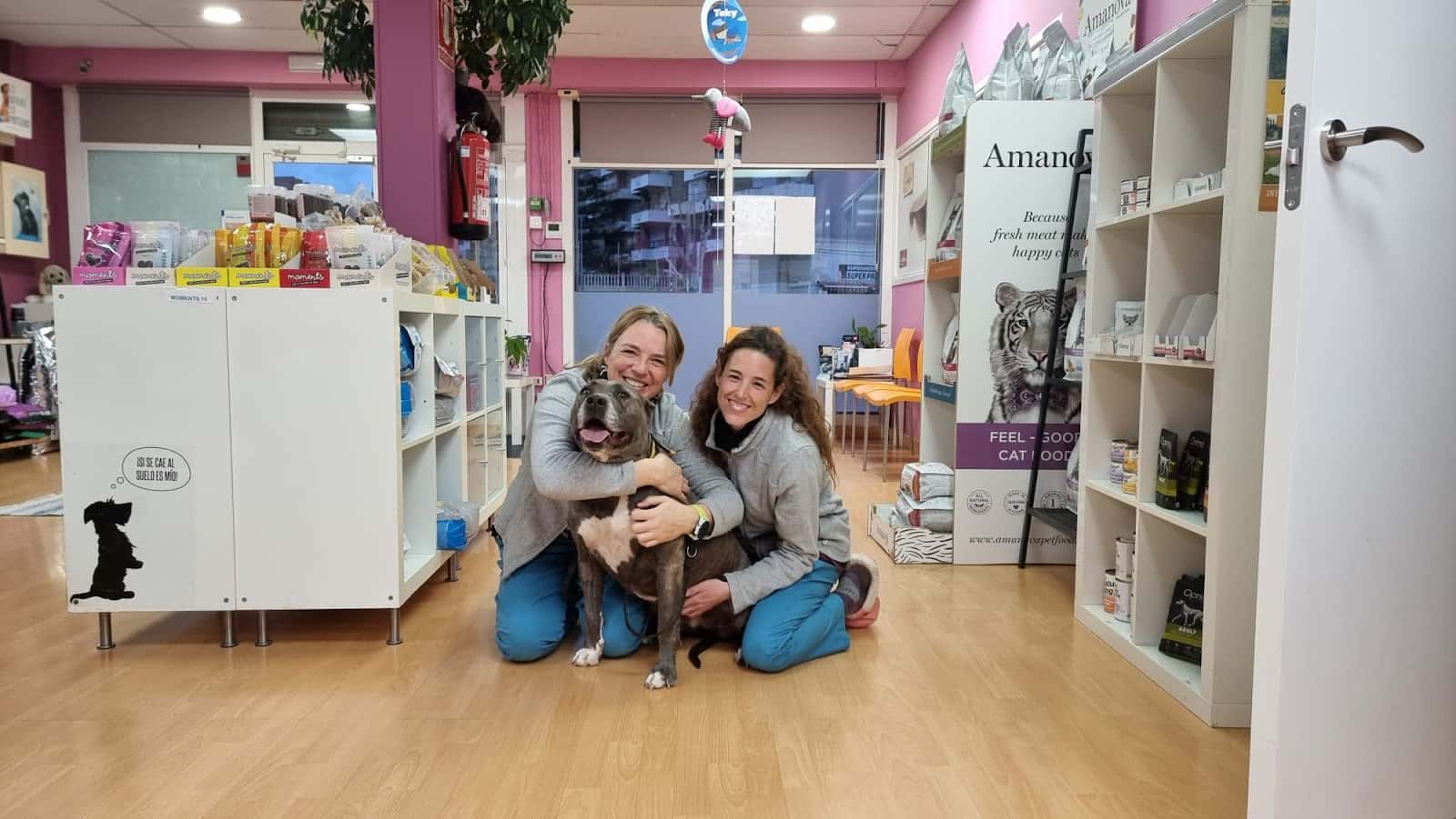 clinica veterinaria prat de cunit veterinario clinica en cunit en tarragona principalImage ADOPTA Sitios Pet Friendly
