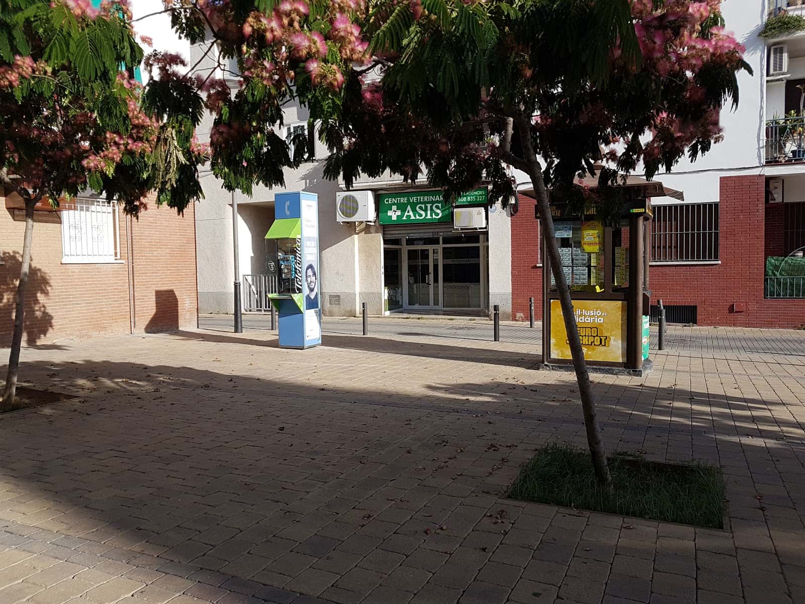 Asis Consultori Veterinari Cunit