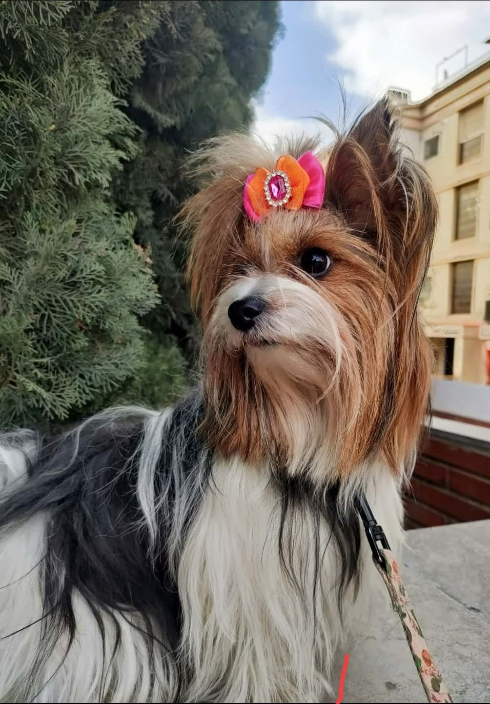 TOTVIU