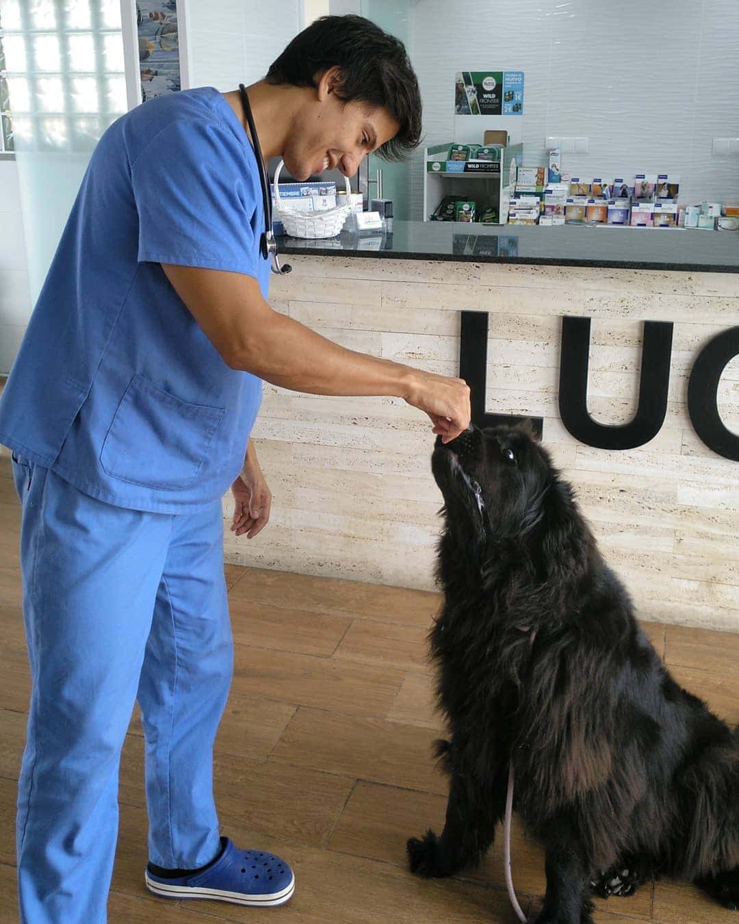 Lucentum Veterinaris