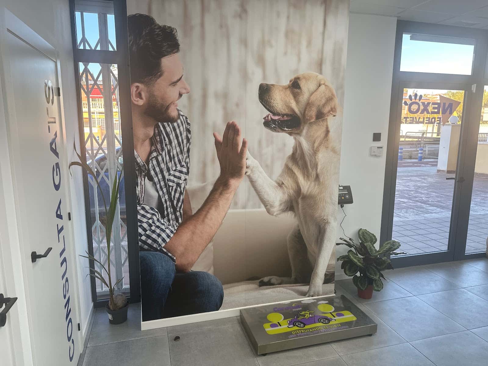 nexo edelvet veterinario centro en cunit en tarragona principalImage ADOPTA Sitios Pet Friendly
