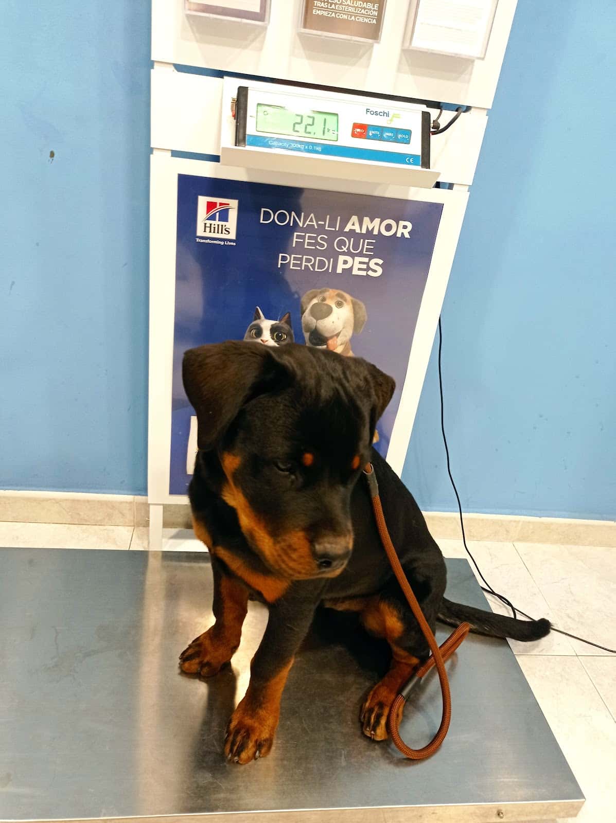 Clínica Veterinària Novavet