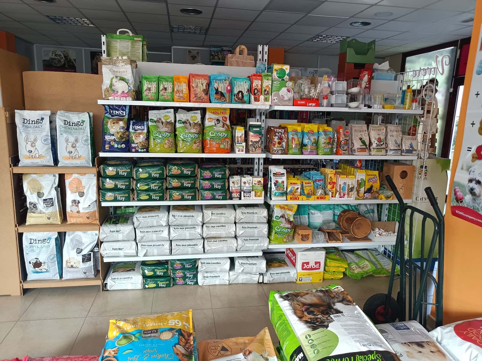 Joma Animals Sils, estilista canina i veterinari.