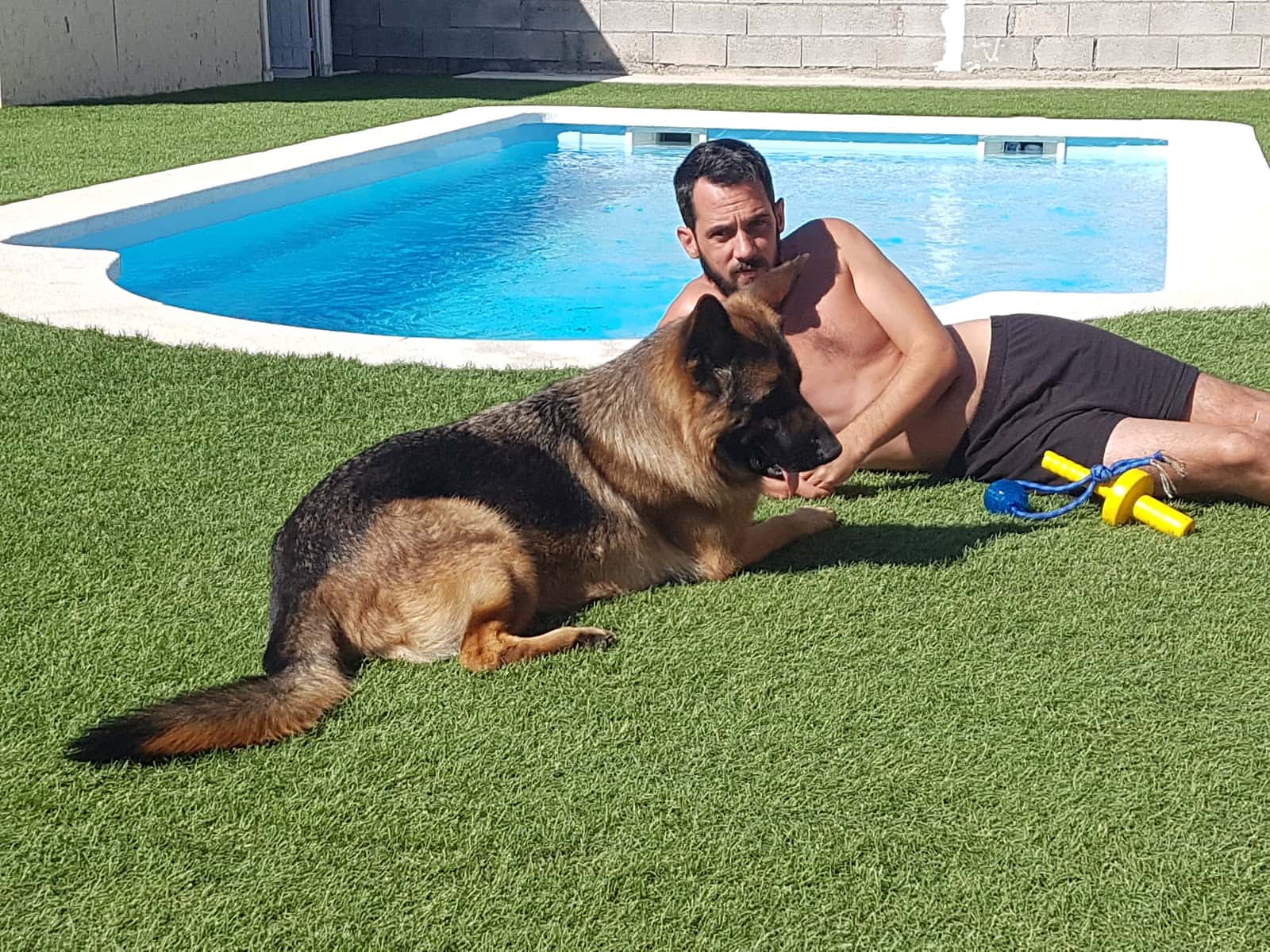 centro canino nacio catalana veterinario centro en vidreres en girona principalImage ADOPTA Sitios Pet Friendly