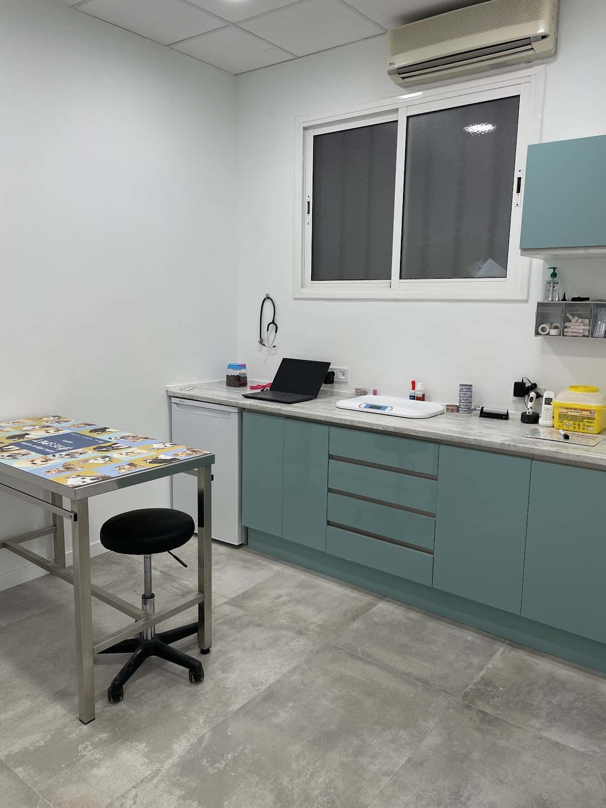 Centre Veterinari Pachuchis