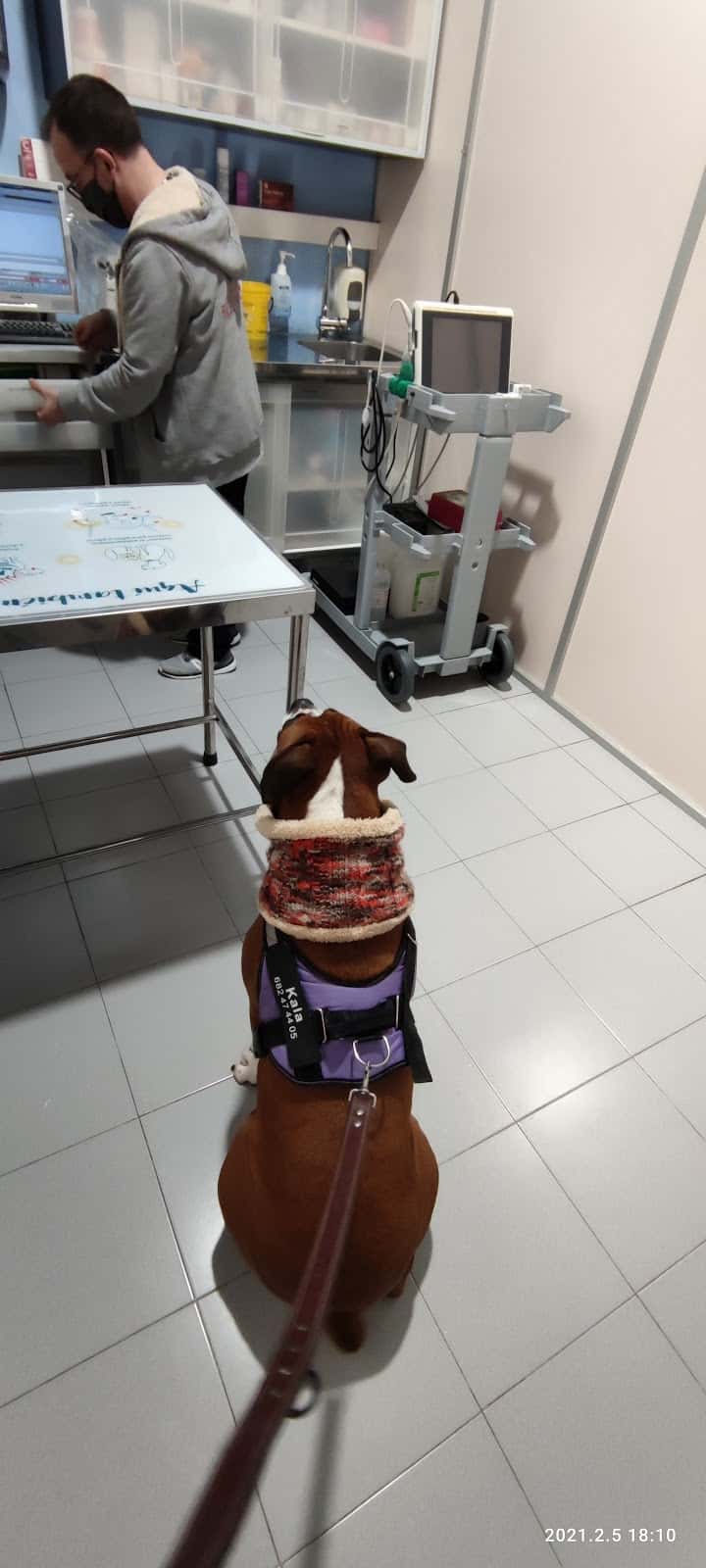Bitxos Veterinaria i Perruqueria