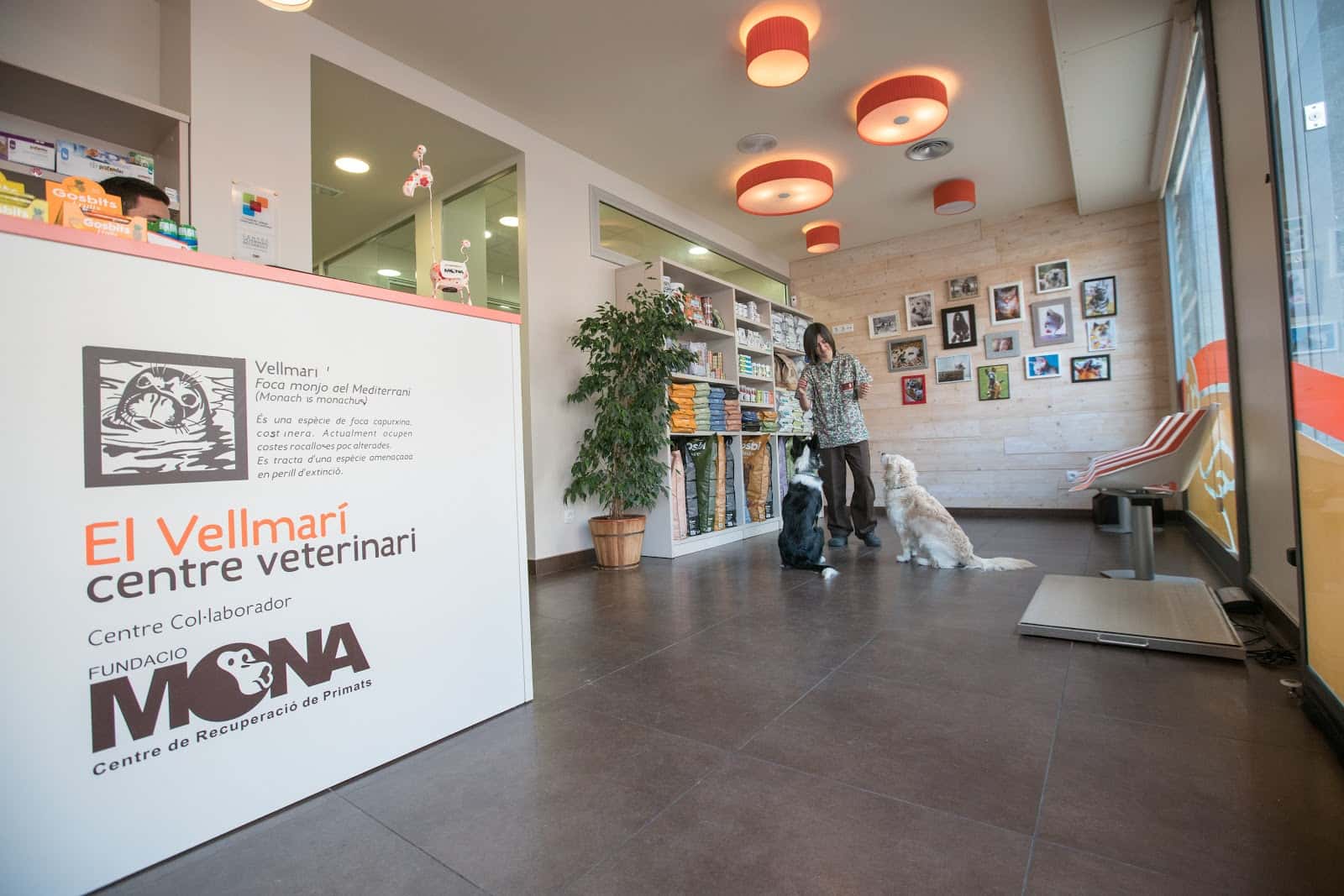 el vellmari veterinario centro en lloret de mar en girona principalImage ADOPTA Sitios Pet Friendly