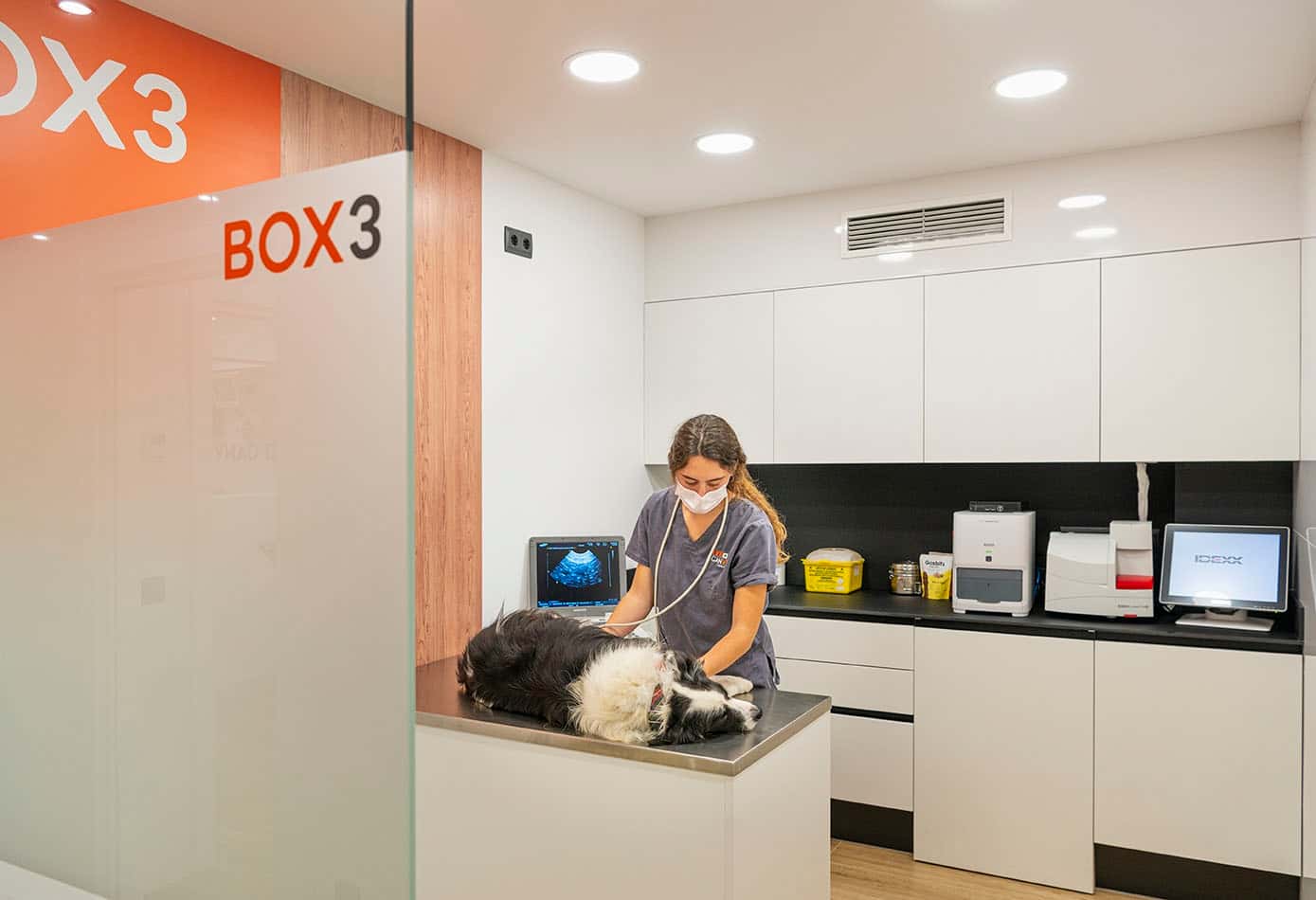 Centre Veterinari Canvet. Urgències 24h