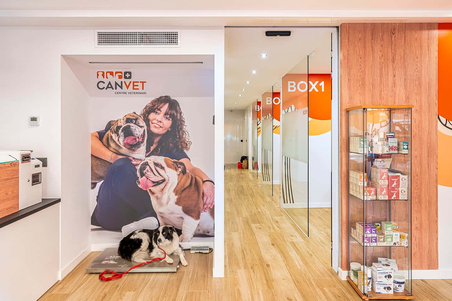 Centre Veterinari Canvet. Urgències 24h