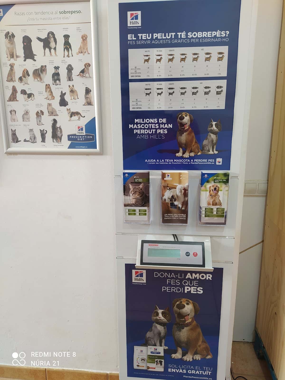 matadepera veterinaris veterinario centro en matadepera en barcelona principalImage ADOPTA Sitios Pet Friendly