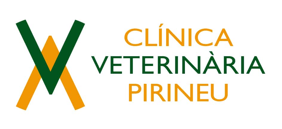 clinica veterinaria pirineu veterinario clinica en sant joan de les abadesses en girona principalImage ADOPTA Sitios Pet Friendly