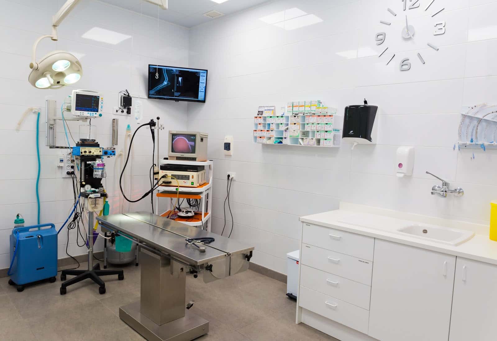 Clínica Veterinaria Fisac Ferrández
