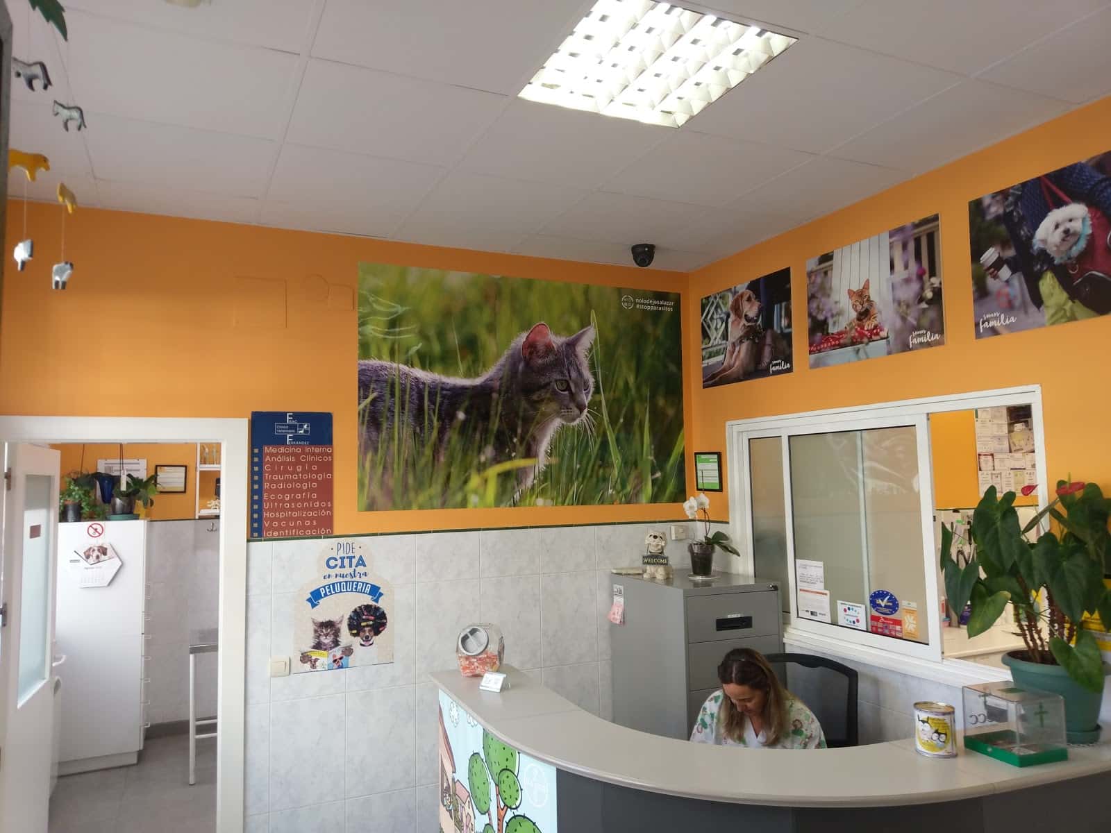 Clínica Veterinaria Fisac Ferrández