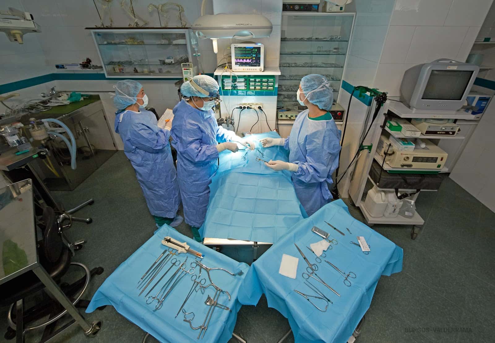 Hospital Valderrama-Veterinario Burgos