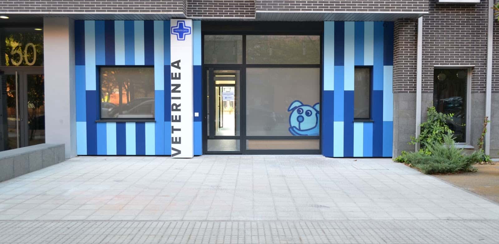 clinica veterinaria veterinea veterinario clinica barrio burgos en burgos en burgos principalImage ADOPTA Sitios Pet Friendly